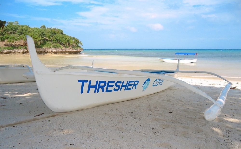 Thresher Cove Dive Resort Insula Malapascua Exterior foto